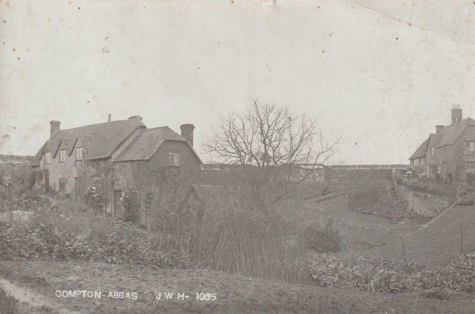 compton abbas 1907